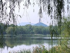 -北坞公园