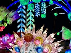 -淄博花灯齐彩城