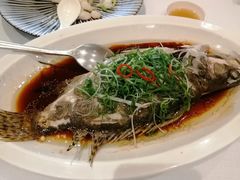 -新雅粤菜馆(南京东路店)