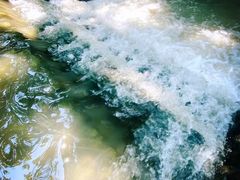 -桤木河湿地公园