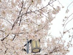 -苏州上方山国家森林公园