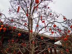 -颐和园