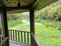 -西山人家·二十年老字号农家菜(旺山店)