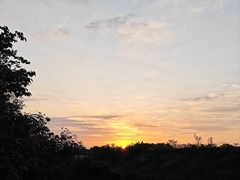 -火舞泰·泰式海鲜火锅餐厅(世纪城店)