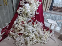 -ST时柒·问题肌抗衰美颜所