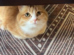 -Fun Job Art 零基础油画国画DIY画室(望京店)