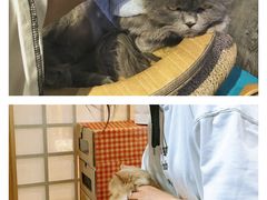 -小时光咖啡馆(开森度假森林店)