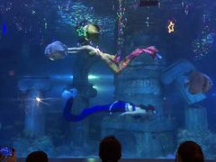 -石家庄市动物园