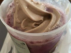 多肉葡萄-喜茶(深圳福田星河COCO Park店)