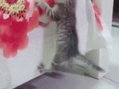 -金城大酒店-中餐厅(汾江中路店)