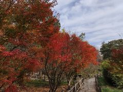 -香山公园