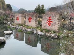 -香雪海