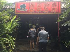 -绿光森林餐厅