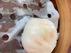 -黄埔华苑酒家(黄埔总店)