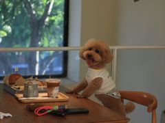 -小意思咖啡店(草桥店)