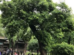 -晋祠公园