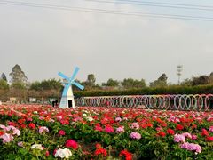 -盈香心动乐园