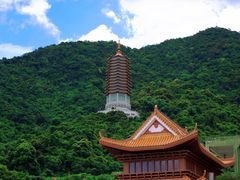 -深圳仙湖植物园