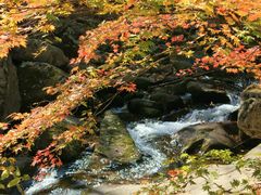 -丹东天桥沟景区