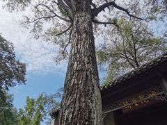 -南山风景名胜区