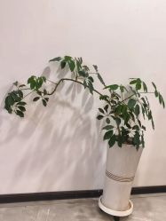 -自在瑜伽·普拉提馆MRBH