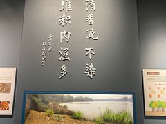 -柳州白莲洞洞穴科学博物馆