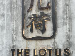 -几荷·恰似故人来(秀水广场店)