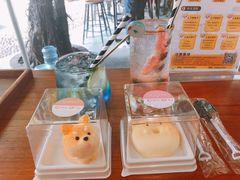 -柴犬高等学院·狗咖·柴犬售卖·宠物训练