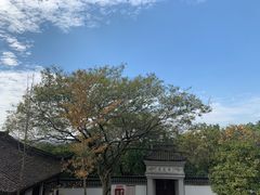 -上海佘山国家森林公园天马山园