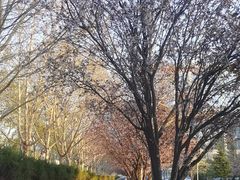 -锦江富园大酒店-游泳馆