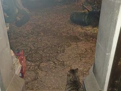 -小雅青年旅舍(平江路店)