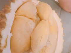 -都念榴莲·城市榴莲