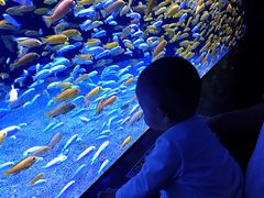 -成都浩海立方海洋公园