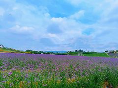 -紫颐香薰山谷景区