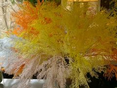 -原野花艺鲜花店(车站大道店)