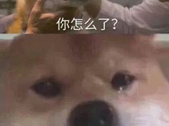 -麦当劳(南京水西门大街店)