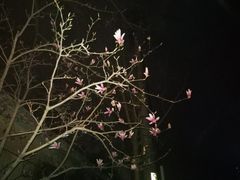 -胖哥俩肉蟹煲(世茂国际广场店)