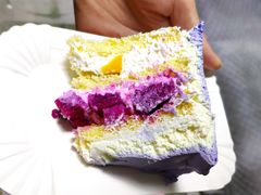 -锦时动物奶油蛋糕(茂业东方时代店)