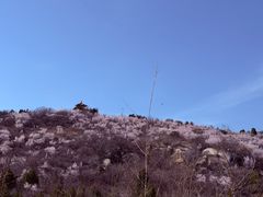 -白水寺森林公园