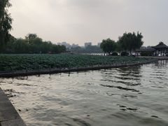 -济南大明湖景区