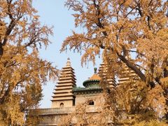 -北京石刻艺术博物馆(五塔寺)
