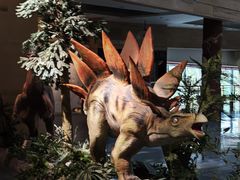 -安徽省地质博物馆