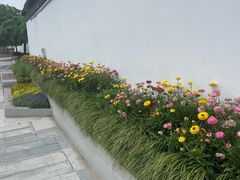 -苏州上方山国家森林公园
