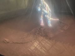 -世界恐龙谷景区