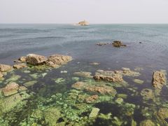-养马岛旅游度假区