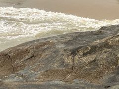 -海沧湾公园