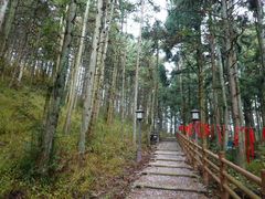 -天姥山