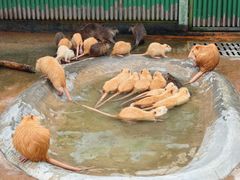 -杭州野生动物世界