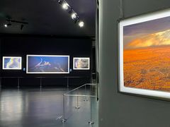 -罗红摄影艺术馆