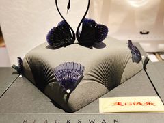-BLACKSWAN黑天鹅(环球店)